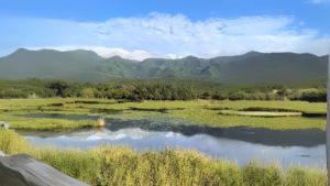 東京・新宿区神楽坂の民泊施設G&R Houseから行ける絶景スポット