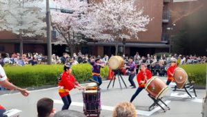 東京・神楽坂の民泊ゲストハウスG&R Houseからアクセス抜群の「文京さくらまつり」