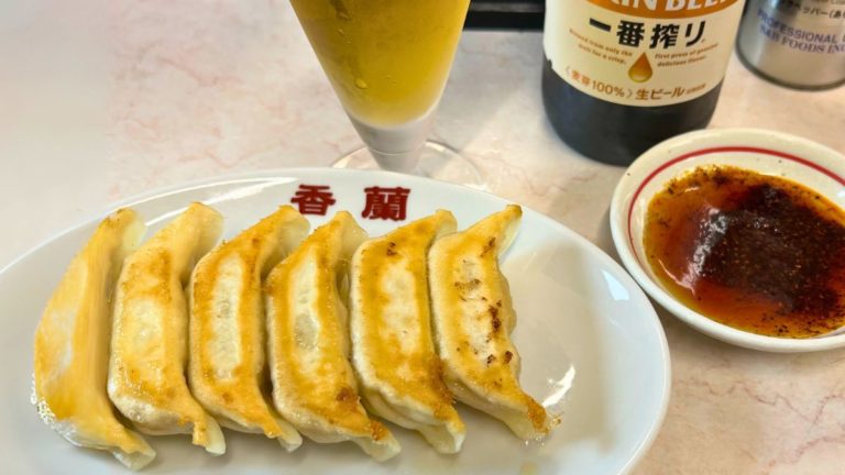 【東京から宇都宮！日帰りグルメ旅】絶品餃子巡り