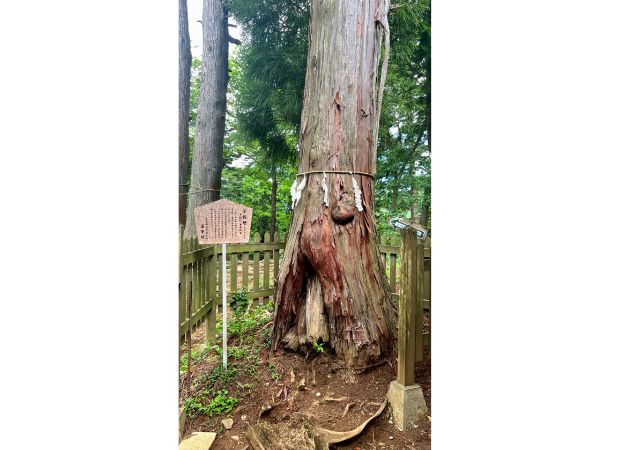 東京・新宿から行ってきた!御嶽駅(御岳山)のパワースポット