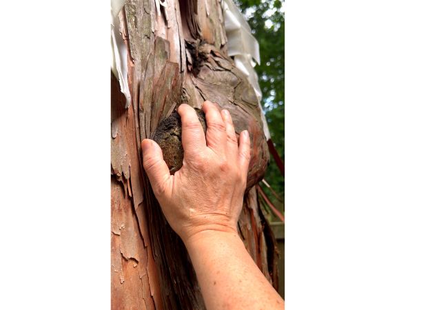 東京・新宿から行ってきた!御嶽駅(御岳山)のパワースポット