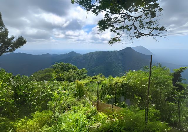 東京・新宿から行ってきた!御嶽駅(御岳山)のパワースポット