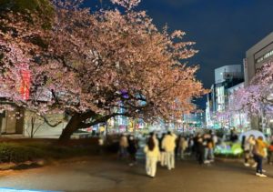 【2026年版】東京で桜を楽しむなら上野桜まつりへ｜旅行前に知っておきたい見頃・混雑・宿泊のポイント