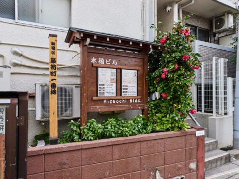 {{brizy_dc_image_alt imageSrc=