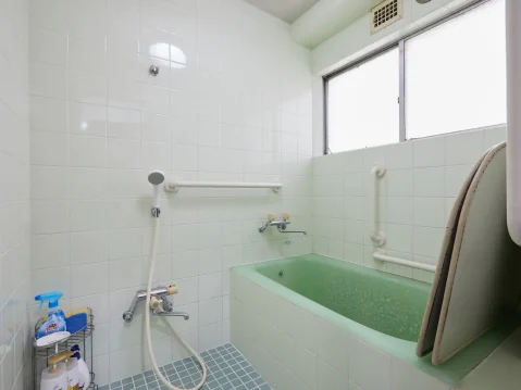 {{brizy_dc_image_alt imageSrc=